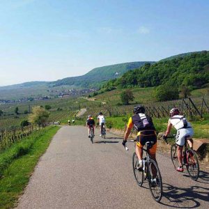 sur la route des vins Tour de France en Alsace