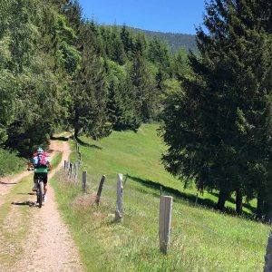 la traversée du massif des Vosges en vélo