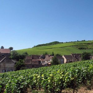 la Bourgogne et son vignoble